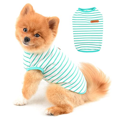 PAIDEFUL Britische kleine Hunde-Shirt, gestreifte Katze, Weste, Top, weiche Baumwolle, T-Shirt für Jungen, Haustier-T-Shirt, Sommer, Welpen, Chihuahua, Yorkie, Kleidung, atmungsaktiv, Tank-Tops von PAIDEFUL