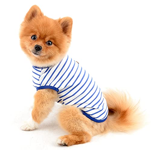 PAIDEFUL Britisches kleines Hunde-Shirt mit gestreiftem Katzen-Weste, Top, weiche Baumwolle, T-Shirt für Jungen, Haustier-T-Shirt, Sommer, Welpen, Chihuahua, Yorkie-Kleidung, atmungsaktiv, Tank Tops von PAIDEFUL