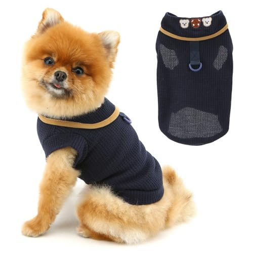 PAIDEFUL Cooles Sommer-T-Shirt, weich, atmungsaktiv, dehnbar, leicht, Haustierbekleidung, niedlicher Bär, Welpen, Chihuahua, Pullover, Kleidung, Katzenkostüm, D-Ring, Blau, Größe XL PAIDEFUL Cooles Sommer-T-Shirt, weich, atmungsaktiv, dehnbar, leicht, Haustierbekleidung, niedlicher Bär, Welpen, Chihuahua, Pullover, Kleidung, Katzenkostüm, D-Ring, Blau, Größe XL von PAIDEFUL