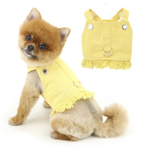 PAIDEFUL Denim-Hundegeschirr, Weste für kleine Hunde, Welpen, Kleidung, Katzen-Weste, Geschirr und Leine, Set für Frühling und Sommer, Haustier-Shirt mit D-Ring, ärmellos, Hundegurt, niedliche von PAIDEFUL