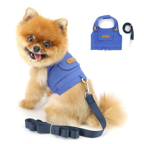 PAIDEFUL Denim-Hundegeschirr für kleine Hunde, Katzengeschirr und Leine, integrierte Hundeweste, ausbruchsicher, weiche Welpenkleidung, D-Ring, verstellbar, Haustier-Zubehör, Hellblau, L PAIDEFUL Denim-Hundegeschirr für kleine Hunde, Katzengeschirr und Leine, integrierte Hundeweste, ausbruchsicher, weiche Welpenkleidung, D-Ring, verstellbar, Haustier-Zubehör, Hellblau, L von PAIDEFUL
