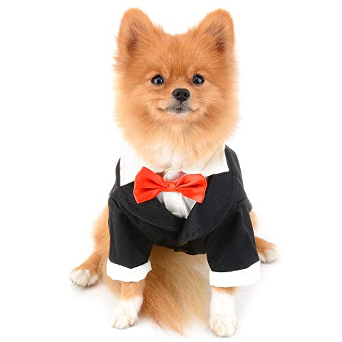 PAIDEFUL Formal Smoking-Kostüm für kleine Hunde und Katzen, Halloween-Party, Welpenkleidung, Hochzeitsanzug, rote Fliege, schwarz, Größe L von PAIDEFUL