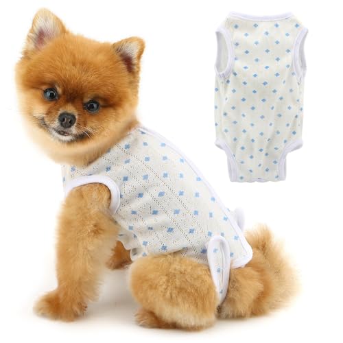 PAIDEFUL Genesungsanzug für Hunde und Katzen nach einer Operation, weiches, atmungsaktives Hunde-Shirt, Body, Ersatz für E-Halsband, chirurgischer Anzug für Damen, verhindert Lecken, Blau, Größe S PAIDEFUL Genesungsanzug für Hunde und Katzen nach einer Operation, weiches, atmungsaktives Hunde-Shirt, Body, Ersatz für E-Halsband, chirurgischer Anzug für Damen, verhindert Lecken, Blau, Größe S von PAIDEFUL