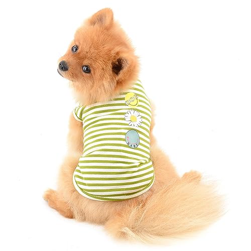 PAIDEFUL Streifen Hund Hemden für Kleine Mittlere Hunde Katzen Weiche Baumwolle Weste T-Shirts Seeveless Atmungsaktive Welpen Mädchen Jungen Chihuahua Kleidung Haustier Sommer Tragen Outdoor Grün XL PAIDEFUL Streifen Hund Hemden für Kleine Mittlere Hunde Katzen Weiche Baumwolle Weste T-Shirts Seeveless Atmungsaktive Welpen Mädchen Jungen Chihuahua Kleidung Haustier Sommer Tragen Outdoor Grün XL von PAIDEFUL