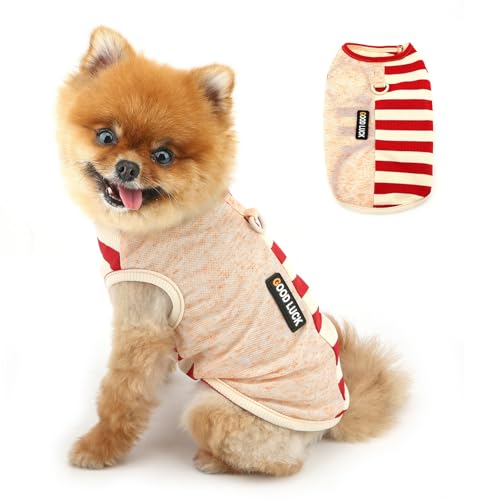 PAIDEFUL Gestreiftes gestricktes Hundehemd für kleine Hunde, leicht, atmungsaktiv, Welpenweste, weiches Haustier-T-Shirt, dehnbar, Hunde-Tanktop, Sommer, Chihuahua, Kleidung, Pullover, modische PAIDEFUL Gestreiftes gestricktes Hundehemd für kleine Hunde, leicht, atmungsaktiv, Welpenweste, weiches Haustier-T-Shirt, dehnbar, Hunde-Tanktop, Sommer, Chihuahua, Kleidung, Pullover, modische von PAIDEFUL