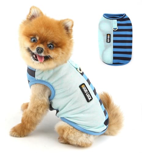 PAIDEFUL Gestreiftes gestricktes Hundeshirt für kleine Hunde, leicht, atmungsaktiv, Welpenweste, weiches Haustier-T-Shirt, dehnbares Hunde-Tanktop, Sommer, Chihuahua-Kleidung, Pullover, modische von PAIDEFUL