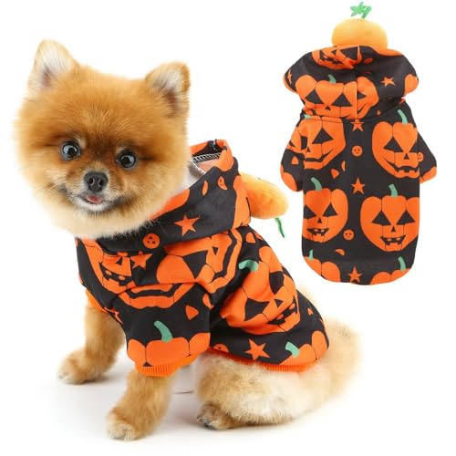 PAIDEFUL Halloween-Hundekleidung für kleine Hunde, Kürbis-Welpenkostüm, warmer Hunde-Kapuzenpullover, Katzenbekleidung, modische Haustier-Outfits, Yorkie, Chihuahua, Zwergspitz-Kleidung, von PAIDEFUL