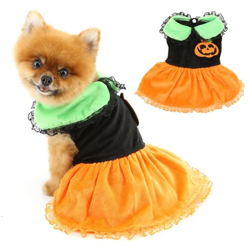PAIDEFUL Halloween-Kostüm für kleine Hunde, Kürbis-Welpenkleid mit Spitze, modisch, Haustier, Halloween, Party, Cosplay, Rock, weiche Hunde-Outfits, Katzenbekleidung, Yorkie, Chihuahua, Größe L PAIDEFUL Halloween-Kostüm für kleine Hunde, Kürbis-Welpenkleid mit Spitze, modisch, Haustier, Halloween, Party, Cosplay, Rock, weiche Hunde-Outfits, Katzenbekleidung, Yorkie, Chihuahua, Größe L von PAIDEFUL