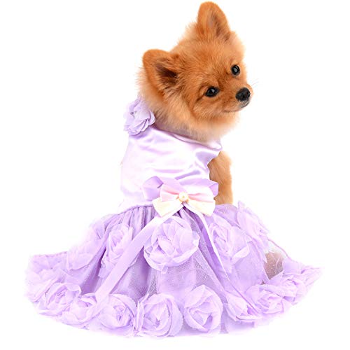 PAIDEFUL Haustierkleid für Kleine Hunde Katzen Mädchen Sommer Luxus Welpen Hochzeitskleid Rose Blume Spitze Tutu Rock Seidig Bowknot Geburtstags Party Kleid Hundekleid Chihuahua Kleidung Lila S von PAIDEFUL