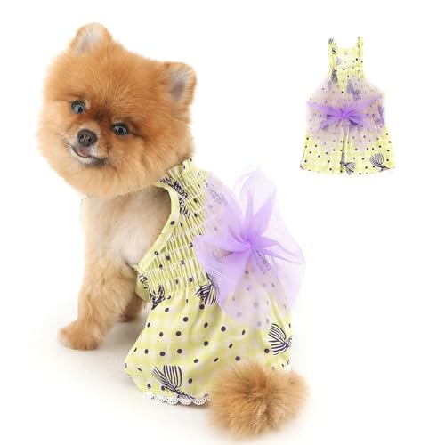 PAIDEFUL Hunde-Prinzessinnenkleid für kleine Hunde, niedlicher Welpen-Rock mit Spitzenschleife, Knoten, Sommer, atmungsaktiv, Haustier-Sommerkleid, weich, leicht, Hundegurtkleidung, Chihuahua-Outfits PAIDEFUL Hunde-Prinzessinnenkleid für kleine Hunde, niedlicher Welpen-Rock mit Spitzenschleife, Knoten, Sommer, atmungsaktiv, Haustier-Sommerkleid, weich, leicht, Hundegurtkleidung, Chihuahua-Outfits von PAIDEFUL