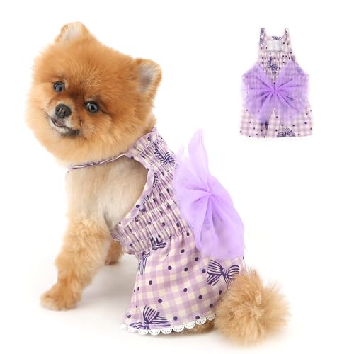 PAIDEFUL Hunde-Prinzessinnenkleid für kleine Hunde, niedlicher Welpen-Rock mit Spitzenschleife, Knoten, Sommer, atmungsaktiv, Haustier-Sommerkleid, weich, leicht, Hundegurtkleidung, Chihuahua-Outfits PAIDEFUL Hunde-Prinzessinnenkleid für kleine Hunde, niedlicher Welpen-Rock mit Spitzenschleife, Knoten, Sommer, atmungsaktiv, Haustier-Sommerkleid, weich, leicht, Hundegurtkleidung, Chihuahua-Outfits von PAIDEFUL