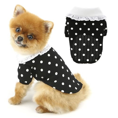 PAIDEFUL Hunde-Shirt, leicht, atmungsaktiv, T-Shirt für kleine Hunde und Katzen, modisch, gepunktet, für den Sommer, cooles Haustier-T-Shirt, weich, dehnbar, Hundepullover, Kostüm, Spitzenkragen, von PAIDEFUL