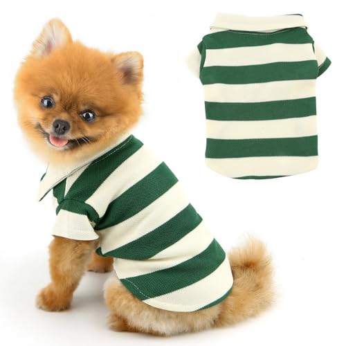 PAIDEFUL Hunde-Shirts für kleine Hunde, gestreift, weich, leicht, modische Welpen-Sweatshirts, Haustierpullover, Kleidung, Frühling, Sommer, Katzenkostüm, Chihuahua-Outfits, Grün, Größe 4XL von PAIDEFUL