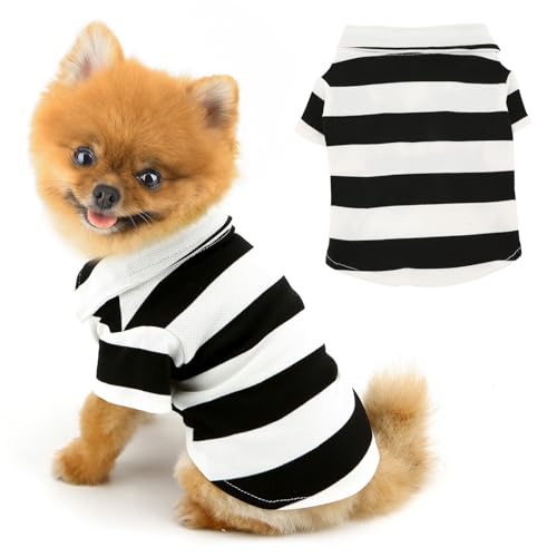 PAIDEFUL Hunde-Shirts für kleine Hunde, gestreift, weich, leicht, modische Welpen-Sweatshirts, Haustierpullover, Kleidung, Frühling, Sommer, Katzenkostüm, Chihuahua-Outfits, Schwarz, Größe XL PAIDEFUL Hunde-Shirts für kleine Hunde, gestreift, weich, leicht, modische Welpen-Sweatshirts, Haustierpullover, Kleidung, Frühling, Sommer, Katzenkostüm, Chihuahua-Outfits, Schwarz, Größe XL von PAIDEFUL