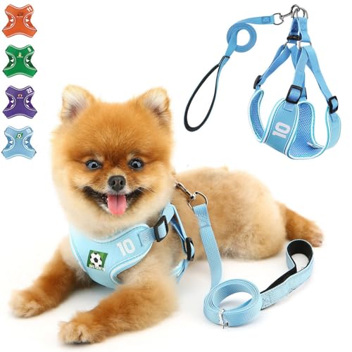 PAIDEFUL Hundegeschirr, Katzengeschirr und Leine, kein Ziehen, für kleine und mittelgroße Hunde, verstellbar, schalensicher, weich, leicht, Netzstoff, Welpengeschirr, Weste zum Spazierengehen, PAIDEFUL Hundegeschirr, Katzengeschirr und Leine, kein Ziehen, für kleine und mittelgroße Hunde, verstellbar, schalensicher, weich, leicht, Netzstoff, Welpengeschirr, Weste zum Spazierengehen, von PAIDEFUL