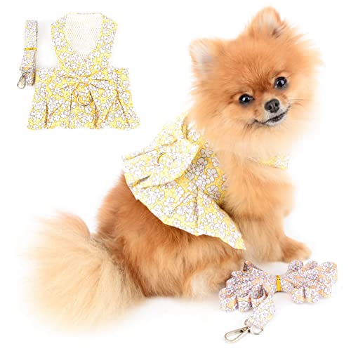 PAIDEFUL Hundegeschirr Kleid für Kleine Hunde Katzen Mädchen Blumen Tutu Rock Mesh Atmungsaktiv Haustierkleidung mit Leine 1,6 m Welpen Chihuahua Kleidung Mini Bekleidung Frühling Sommer Gelb XL PAIDEFUL Hundegeschirr Kleid für Kleine Hunde Katzen Mädchen Blumen Tutu Rock Mesh Atmungsaktiv Haustierkleidung mit Leine 1,6 m Welpen Chihuahua Kleidung Mini Bekleidung Frühling Sommer Gelb XL von PAIDEFUL