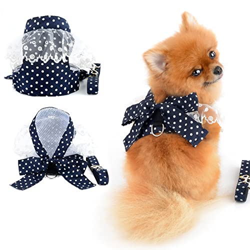 PAIDEFUL Hundegeschirr für kleine Hunde, gepunktet, florales Schleife mit Leine, Set, kein Ziehen, verstellbar, Hundekleidung, weich, bequem, Katzen kostüm, Blau, L PAIDEFUL Hundegeschirr für kleine Hunde, gepunktet, florales Schleife mit Leine, Set, kein Ziehen, verstellbar, Hundekleidung, weich, bequem, Katzen kostüm, Blau, L von PAIDEFUL