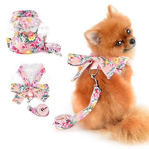 PAIDEFUL Hundegeschirr für kleine Hunde, gepunktet, florales Schleife mit Leine, Set, kein Ziehen, verstellbar, Hundekleidung, weich, bequem, Katzen kostüm, Rosa, M von PAIDEFUL