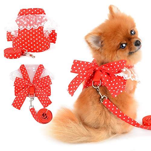 PAIDEFUL Hundegeschirr für kleine Hunde, gepunktet, florales Schleife mit Leine, Set, kein Ziehen, verstellbar, Hundekleidung, weich, bequem, Katzen kostüm, Rot, S PAIDEFUL Hundegeschirr für kleine Hunde, gepunktet, florales Schleife mit Leine, Set, kein Ziehen, verstellbar, Hundekleidung, weich, bequem, Katzen kostüm, Rot, S von PAIDEFUL