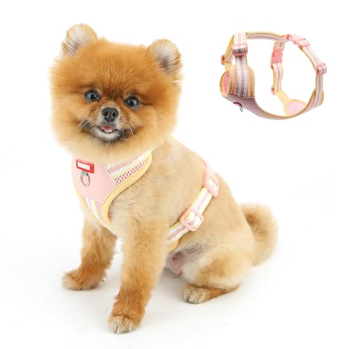 PAIDEFUL Hundegeschirr gegen Ziehen, weich mit Brustpolsterung, Katzengeschirr und Leine, leicht, verstellbar, Haustierweste mit Schnellverschluss, Enten-Training, Spazierengehen, ausbruchsicher PAIDEFUL Hundegeschirr gegen Ziehen, weich mit Brustpolsterung, Katzengeschirr und Leine, leicht, verstellbar, Haustierweste mit Schnellverschluss, Enten-Training, Spazierengehen, ausbruchsicher von PAIDEFUL