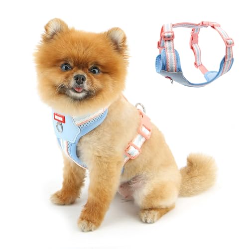 PAIDEFUL Hundegeschirr ohne Ziehen, weich mit Brustpolsterung, Katzengeschirr und Leine, leicht, verstellbar, Haustierweste mit Schnellverschluss, Enten-Training, Spazierengehen, ausbruchsicher PAIDEFUL Hundegeschirr ohne Ziehen, weich mit Brustpolsterung, Katzengeschirr und Leine, leicht, verstellbar, Haustierweste mit Schnellverschluss, Enten-Training, Spazierengehen, ausbruchsicher von PAIDEFUL