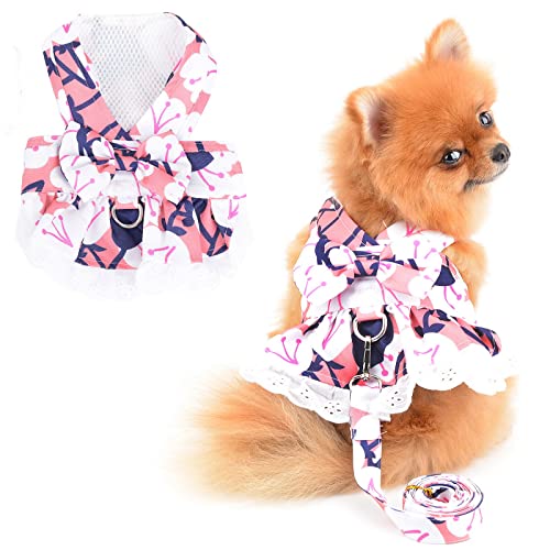 PAIDEFUL Hund Kleider Geschirr und Leine Set Kostüm Blumenschleife Katzen Hund Sommerkleid für kleine Haustiere Mädchen weiche Hundekleidung, Rosa, XL von PAIDEFUL