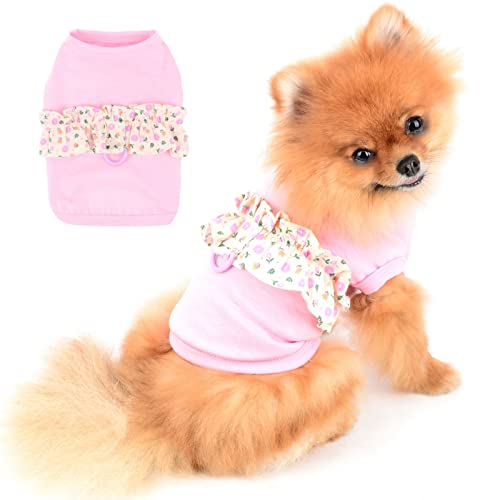 PAIDEFUL Hundehemd für Kleine Mittelgroße Hunde Katzen Mädchen Weiche Baumwolle T-Shirts Rüschen-Design mit D-Ring für Leine Welpen Chihuahua Yorkie Kleidung Haustier Sommer Outdoor Pink XL von PAIDEFUL