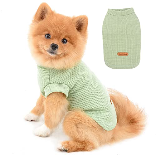 PAIDEFUL Hundehemden für Kleine Mittelgroße Hunde Katzen Jungen Mädchen Einfarbige Weiche Baumwollweste T-Shirts Sommer Ärmellose Atmungsaktive Tee Welpe Chihuahua Yorkie Kleidung Haustier Grün XXL PAIDEFUL Hundehemden für Kleine Mittelgroße Hunde Katzen Jungen Mädchen Einfarbige Weiche Baumwollweste T-Shirts Sommer Ärmellose Atmungsaktive Tee Welpe Chihuahua Yorkie Kleidung Haustier Grün XXL von PAIDEFUL
