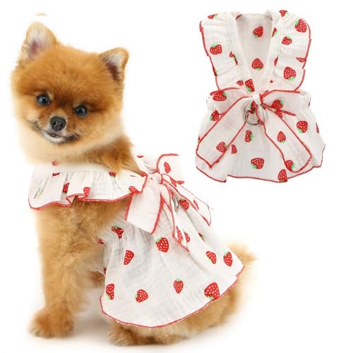PAIDEFUL Hundekleid, niedliches Erdbeer-Haustierkleid für kleine Hunde, Mädchen, Sommer, Welpengurt, weich, atmungsaktiv, mit D-Ring-Schleife, Katzen-Prinzessinnen-Outfits, Chihuahua-Kostüm, Weiß, PAIDEFUL Hundekleid, niedliches Erdbeer-Haustierkleid für kleine Hunde, Mädchen, Sommer, Welpengurt, weich, atmungsaktiv, mit D-Ring-Schleife, Katzen-Prinzessinnen-Outfits, Chihuahua-Kostüm, Weiß, von PAIDEFUL