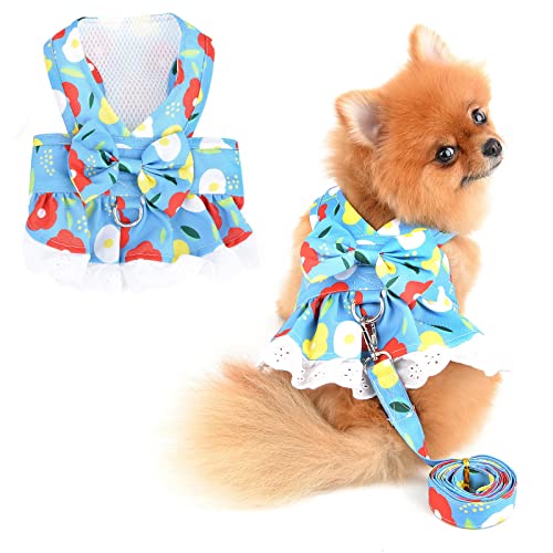 PAIDEFUL Hund Kleider Geschirr und Leine Set Kostüm Blumenschleife Katzen Hund Sommerkleid für kleine Haustiere Mädchen weiche Hundekleidung, Hellblau, L von PAIDEFUL