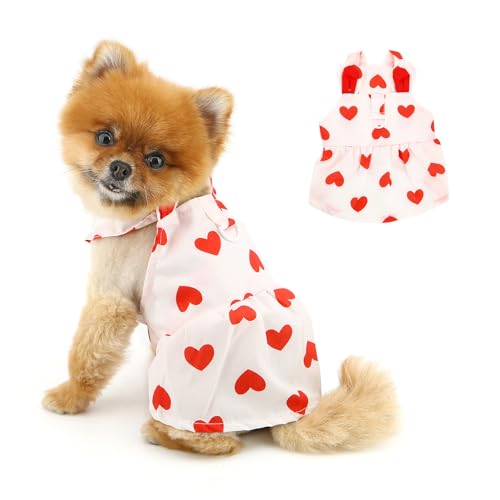 PAIDEFUL Hundekleid für kleine Hunde, entzückende Haustiere, Prinzessinnen-Trägerrock mit Herzmuster, niedliche Ohren, leicht, atmungsaktiv, Sommerkleidung, weiches Welpen-Outfit, Katzenbekleidung, von PAIDEFUL