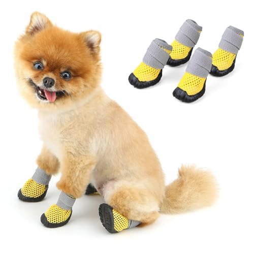 PAIDEFUL Hundeschuhe, kleine Hundeschuhe und Pfotenschutz, Sommer, heißer Gehweg, rutschfeste Sohle und rutschfestes Netzgewebe, atmungsaktiv, rutschfest, Welpenschuhchen für harte Böden, Spaziergänge PAIDEFUL Hundeschuhe, kleine Hundeschuhe und Pfotenschutz, Sommer, heißer Gehweg, rutschfeste Sohle und rutschfestes Netzgewebe, atmungsaktiv, rutschfest, Welpenschuhchen für harte Böden, Spaziergänge von PAIDEFUL