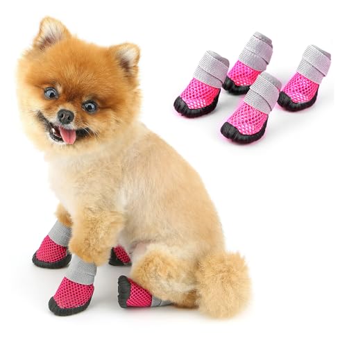 PAIDEFUL Hundeschuhe, kleine Hundeschuhe und Pfotenschutz, Sommer, heißer Gehweg, rutschfeste Sohle und rutschfestes Netzgewebe, atmungsaktiv, rutschfest, Welpenschuhchen für harte Böden, Spaziergänge PAIDEFUL Hundeschuhe, kleine Hundeschuhe und Pfotenschutz, Sommer, heißer Gehweg, rutschfeste Sohle und rutschfestes Netzgewebe, atmungsaktiv, rutschfest, Welpenschuhchen für harte Böden, Spaziergänge von PAIDEFUL