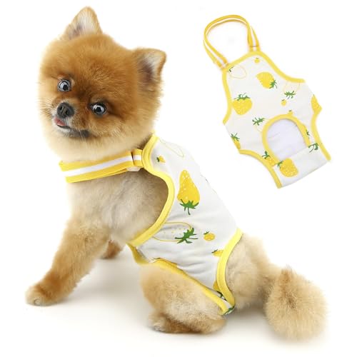 PAIDEFUL Hundewindeln, waschbar, wiederverwendbar, Premium-Sanitärhöschen, Physiologische Hose mit verstellbaren Hosenträgern, atmungsaktiv, für Mädchen, Hündinnen, Katzen, Gelb, Größe L PAIDEFUL Hundewindeln, waschbar, wiederverwendbar, Premium-Sanitärhöschen, Physiologische Hose mit verstellbaren Hosenträgern, atmungsaktiv, für Mädchen, Hündinnen, Katzen, Gelb, Größe L von PAIDEFUL