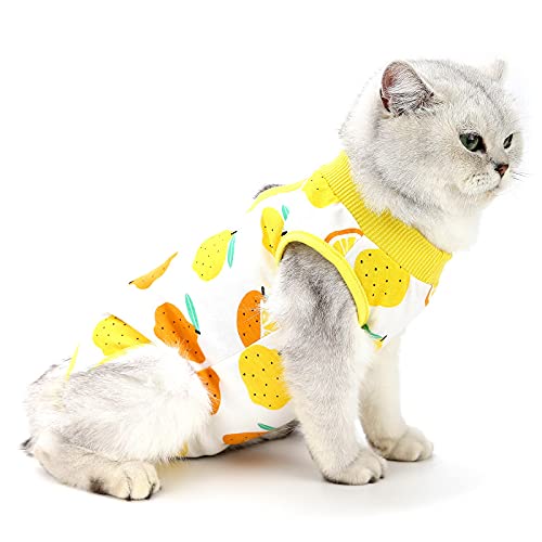 PAIDEFUL Medical Pet Shirt Katze Body für Hunde Nach op Hund Kastration Weiche Baumwolle E-Kragen Alternative Haustiere Krankenpflege Kleidung Wundschutz Verhindern Lecken Hautkrankheiten Gelb M PAIDEFUL Medical Pet Shirt Katze Body für Hunde Nach op Hund Kastration Weiche Baumwolle E-Kragen Alternative Haustiere Krankenpflege Kleidung Wundschutz Verhindern Lecken Hautkrankheiten Gelb M von PAIDEFUL