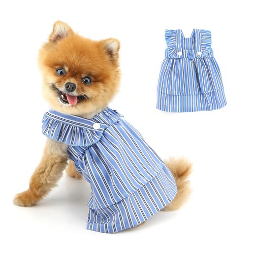 PAIDEFUL Kleid für kleine Hunde, doppellagig, modisch, gestreift, Prinzessinnen-Rock, leicht, atmungsaktiv, Welpen-Shirt mit Rüschen, weich, gemütlich, Sommer-Chihuahua-Outfits, Katzenbekleidung, von PAIDEFUL
