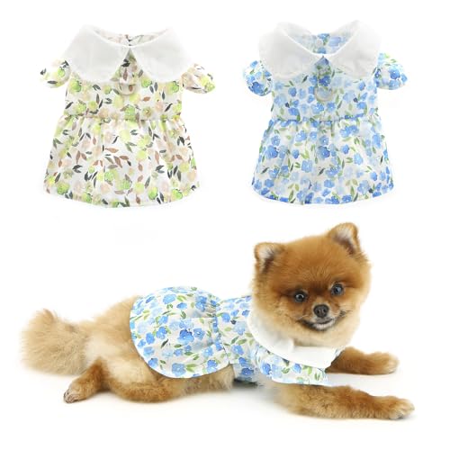 PAIDEFUL Kleid für kleine Hunde, elegantes Sommerkleid, cooles Sommerkleid, modisch, niedliches Blumenmuster, weiche Welpenkleidung mit Knopf, Katzen-, Chihuahua-Kostüm, D-Ring, Blau, Größe S von PAIDEFUL