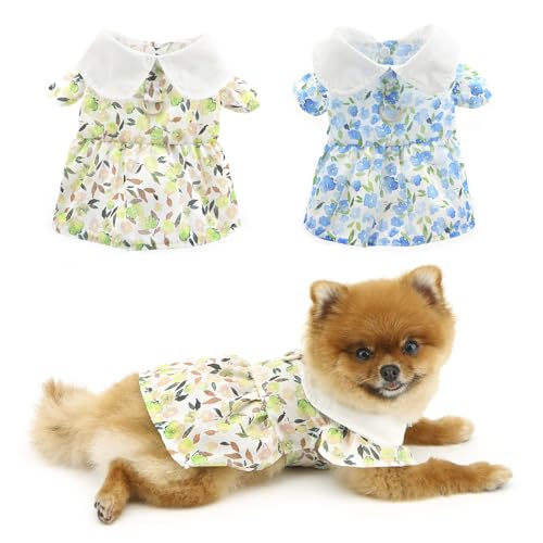 PAIDEFUL Kleid für kleine Hunde, elegantes Sommerkleid, cooles Sommerkleid, modisch, niedliches Blumenmuster, weiche Welpenkleidung mit Knopf, Katzen-, Chihuahua-Kostüm, D-Ring, Gelb, Größe L PAIDEFUL Kleid für kleine Hunde, elegantes Sommerkleid, cooles Sommerkleid, modisch, niedliches Blumenmuster, weiche Welpenkleidung mit Knopf, Katzen-, Chihuahua-Kostüm, D-Ring, Gelb, Größe L von PAIDEFUL