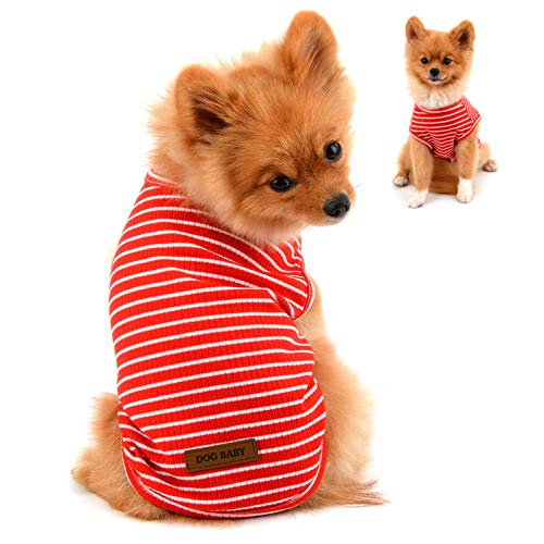 PAIDEFUL Kleidung für Kleine Hunde Junge Mädchen Sommer Gestreifte Welpe T-Shirt Weste Atmungsaktiv 100% Baumwolle T-Shirt Ärmelloses Chihuahua Yorkshire Rot L von PAIDEFUL