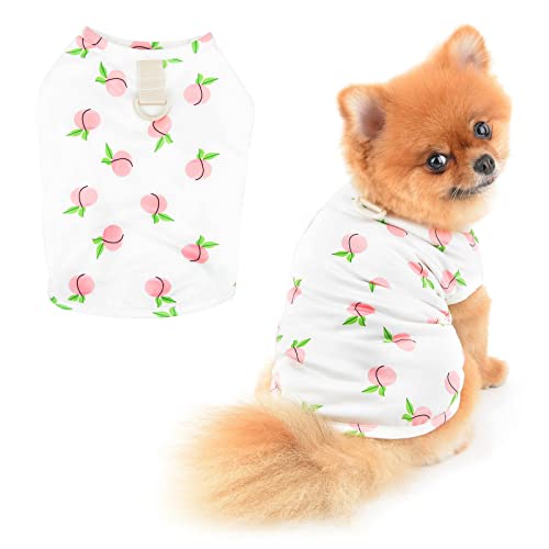 PAIDEFUL Kleiner Sommer Tshirt Hund Pfirsich Frühling Sommer Hundekleidung Katzen Kostüm D-Ring Katzen Kostüm, Weiß, XL von PAIDEFUL