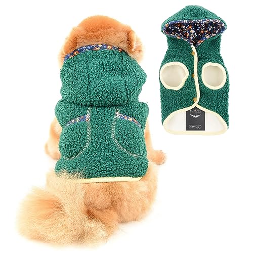 PAIDEFUL Kleiner Hundemantel für den Winter, Polarfleece, gefüttert, Kapuzenjacke, warm, winddicht, Welpenkleidung, weich, bequem, Katzenkostüm, für drinnen und draußen, Grün, XL von PAIDEFUL