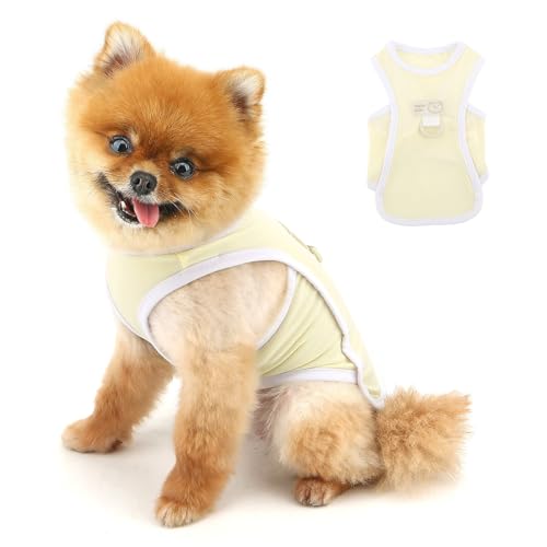 PAIDEFUL Kühlendes Hundeshirt für kleine Hunde, Sommer, Haustier, UV-Sonnenschutz, leicht, atmungsaktiv, Hunde-Tanktop, weich, dehnbar, Welpen-T-Shirts, solide Katzenbekleidung, Chihuahua-Kleidung von PAIDEFUL