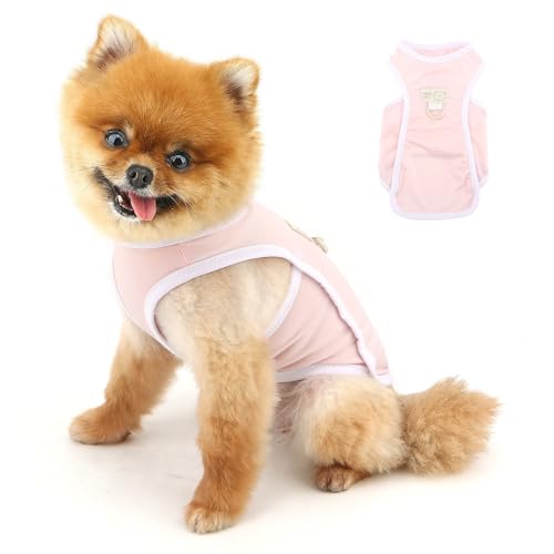 PAIDEFUL Kühlendes Hundeshirt für kleine Hunde, Sommer, Haustier, UV-Sonnenschutz, leicht, atmungsaktiv, Hunde-Tanktop, weich, dehnbar, Welpen-T-Shirts, solide Katzenbekleidung, Chihuahua-Kleidung PAIDEFUL Kühlendes Hundeshirt für kleine Hunde, Sommer, Haustier, UV-Sonnenschutz, leicht, atmungsaktiv, Hunde-Tanktop, weich, dehnbar, Welpen-T-Shirts, solide Katzenbekleidung, Chihuahua-Kleidung von PAIDEFUL