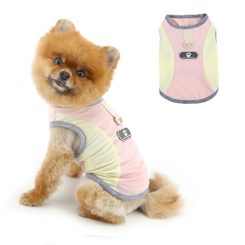 PAIDEFUL Kühlendes Sommer-Hundeshirt für kleine Hunde, atmungsaktives Netz-T-Shirt, UV-Sonnenschutz, Welpenweste, weich, leicht, Hunde-Tanktop, modisch, Chihuahua-T-Shirt, Katzenbekleidung, D-Ring von PAIDEFUL