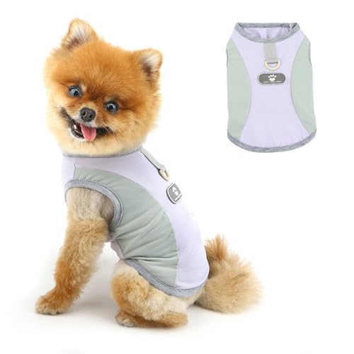 PAIDEFUL Kühlendes Sommer-Hundeshirt für kleine Hunde, atmungsaktives Netz-T-Shirt, UV-Sonnenschutz, Welpenweste, weich, leicht, Hunde-Tanktop, modisch, Chihuahua-T-Shirt, Katzenbekleidung, D-Ring von PAIDEFUL