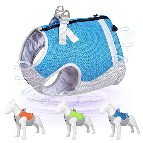 PAIDEFUL Kühlweste für kleine Hunde, Sommergeschirr, verstellbar, weich, bequem, Haustiergeschirr, atmungsaktiv, Outdoor-Training, Spazierengehen, Wandern, Blau, XL von PAIDEFUL