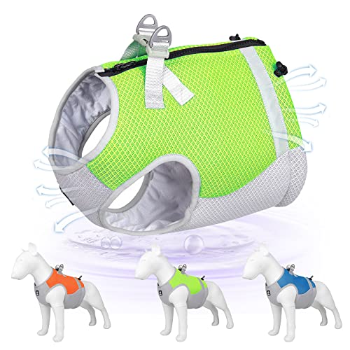 PAIDEFUL Kühlweste für kleine Hunde, Sommergeschirr, verstellbar, weich, bequem, Haustiergeschirr, atmungsaktiv, Outdoor-Training, Spazierengehen, Wandern, Grün, L PAIDEFUL Kühlweste für kleine Hunde, Sommergeschirr, verstellbar, weich, bequem, Haustiergeschirr, atmungsaktiv, Outdoor-Training, Spazierengehen, Wandern, Grün, L von PAIDEFUL
