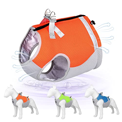 PAIDEFUL Kühlweste für kleine Hunde, Sommergeschirr, verstellbar, weich, bequem, Haustiergeschirr, atmungsaktiv, Outdoor-Training, Spazierengehen, Wandern, Orange, XL von PAIDEFUL