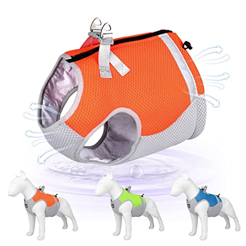 PAIDEFUL Kühlweste für kleine Hunde, Sommergeschirr, verstellbar, weich, bequem, Haustiergeschirr, atmungsaktiv, Outdoor-Training, Spazierengehen, Wandern, Orange, XL PAIDEFUL Kühlweste für kleine Hunde, Sommergeschirr, verstellbar, weich, bequem, Haustiergeschirr, atmungsaktiv, Outdoor-Training, Spazierengehen, Wandern, Orange, XL von PAIDEFUL