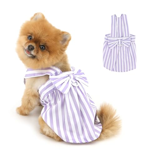 PAIDEFUL Modisches, gestreiftes Hundekleid für kleine Hunde, Schleifenknoten, Welpen, Prinzessinnenkleid, Sommer, Haustier-Riemen, Rock, weich, atmungsaktiv, Hundesommerkleid, Chihuahua von PAIDEFUL